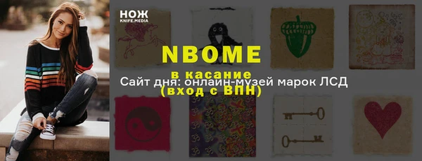 прущие грибы Вяземский